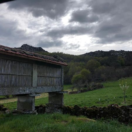 A Casa Do Chico Daire Ourense Dış mekan fotoğraf
