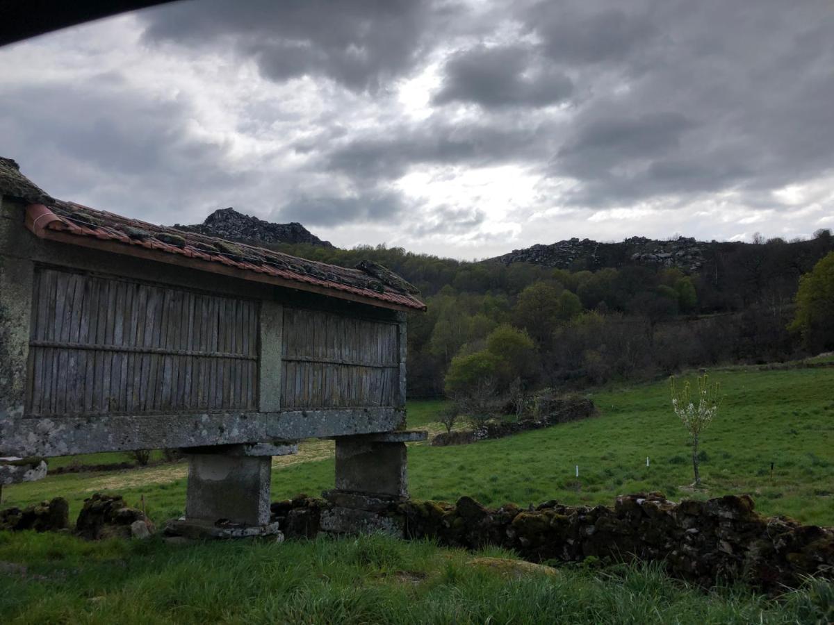 A Casa Do Chico Daire Ourense Dış mekan fotoğraf